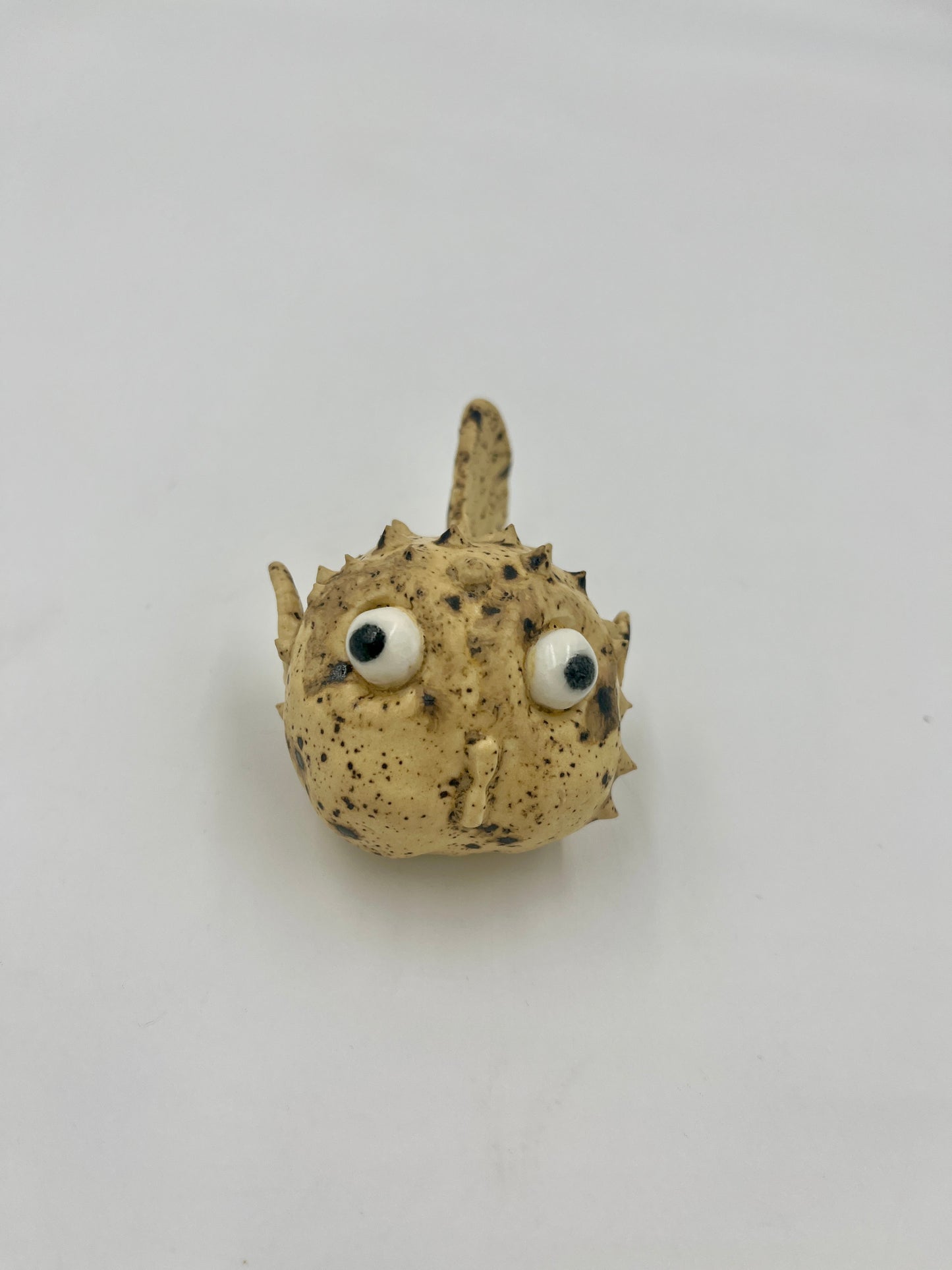 Puffer fish #3